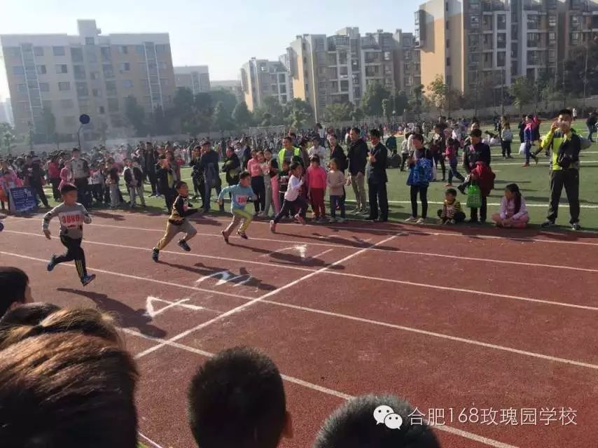 宣传稿件运动会_怎么写运动会宣传稿_关于运动会宣传稿怎么写