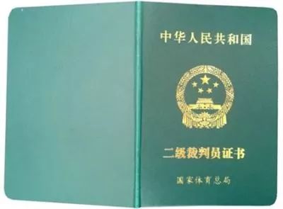 足球裁判帅气判罚规则_足球裁判好帅_最霸气足球裁判